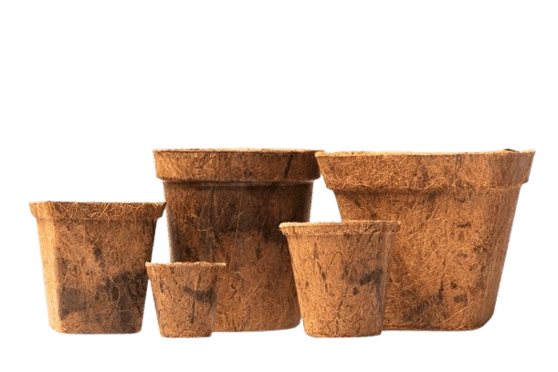 Coco Pots